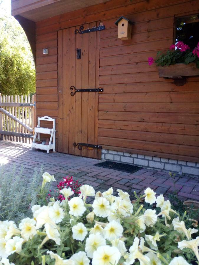 Вилла Woodstock B+B Drouwenermond Экстерьер фото